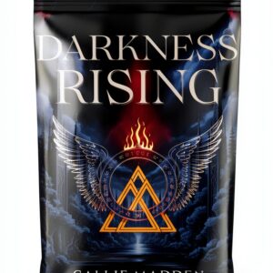 Nexus Academy Book 2 Paranormal Angel Romance Kindle-0